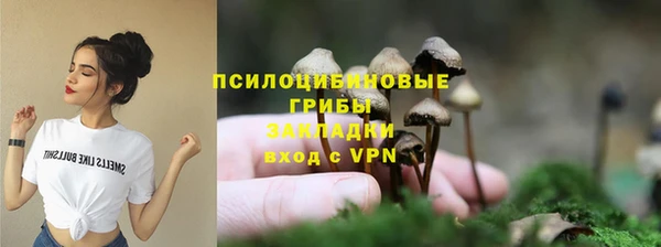 прущая мука Армянск