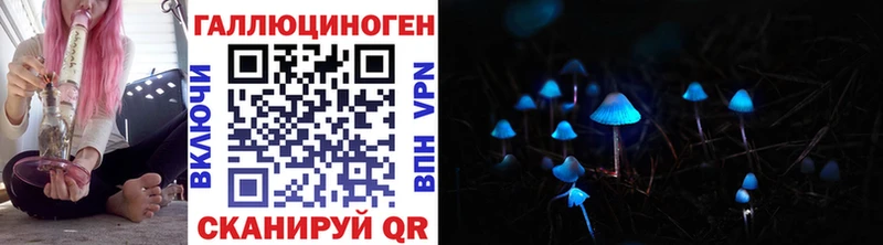 наркотики  Феодосия  Псилоцибиновые грибы Psilocybe 